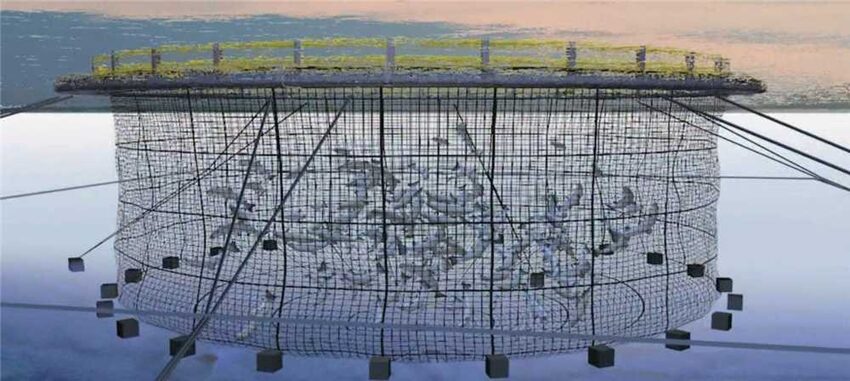 Nhà lắp ghép trên biển (AQUACULTURE-1699) thumbnail 2